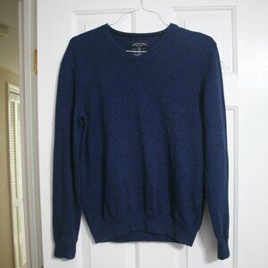 American Eagle Outfitters Men's V-Neck Sweater, Size M, Blue